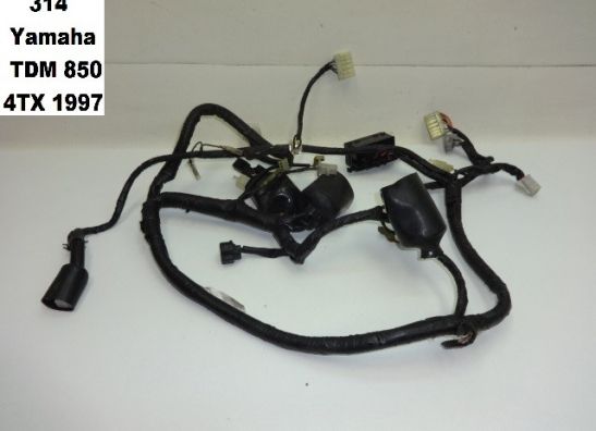 Kabelbaum Yamaha TDM
