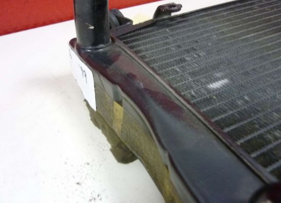 Radiateur Yamaha YZF R6