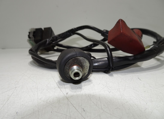 Sensor - Elektronik Suzuki DL 650 V STROM