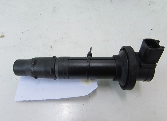 Bobine Yamaha YZF R6