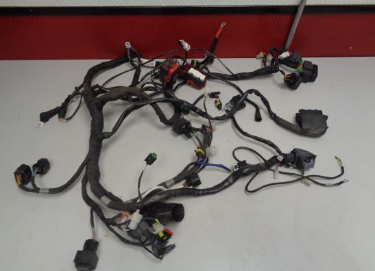 Kabelboom Aprilia Shiver 750 2008-2010