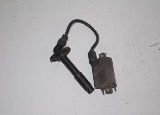 Bobine Kawasaki ZZR 250