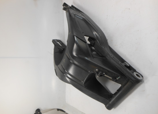 Swingarm BMW S 1000 R