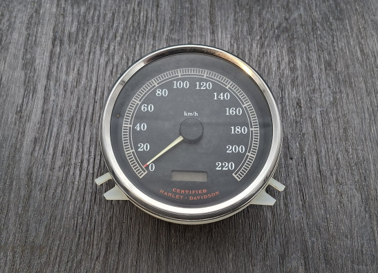 Teller Harley Davidson Softtail