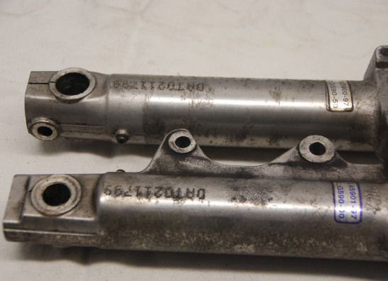 Voorpoot buiten Harley Davidson Sportster