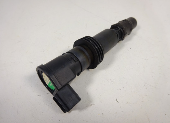 Bobine Triumph Tiger 800 2010-2014