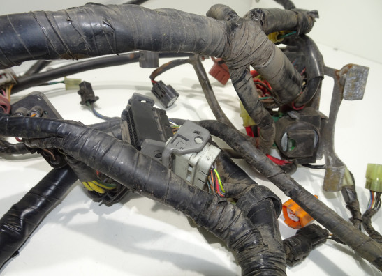 Kabelboom Honda XL 1000 V Varadero