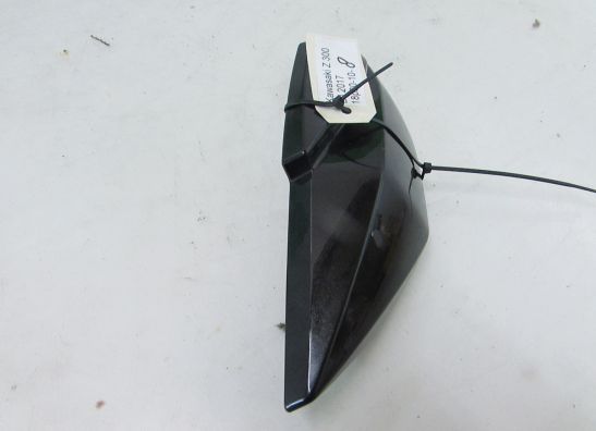 Other Kawasaki Z 300