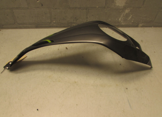 Tankschutz Kawasaki Z 1000