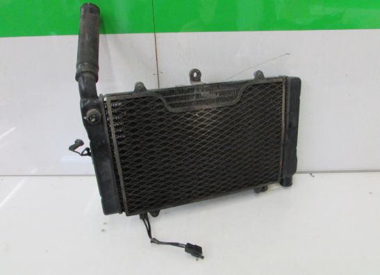 Radiator Honda CBR 1000 F