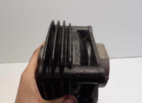 Cilinderblok Yamaha FAZER 600