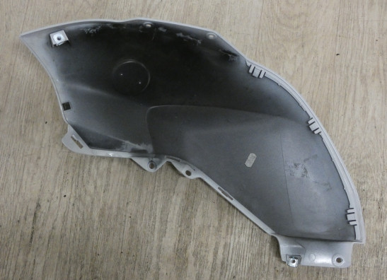 Rechter zijkuip BMW R 1200 R LC