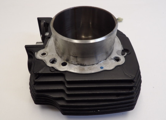 Cilinderblok Ducati Scrambler Desert Sled