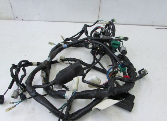 Kabelbaum Kymco XCITING 500I