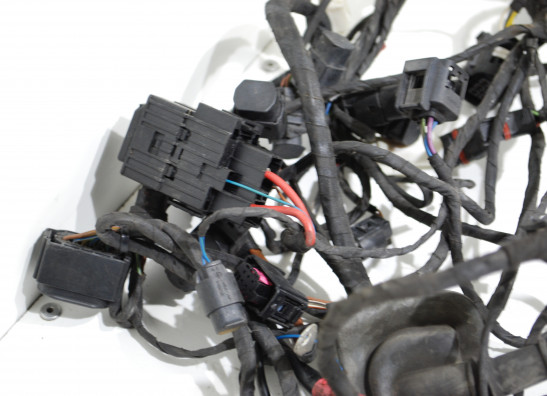 Kabelbaum BMW R 1200 RT