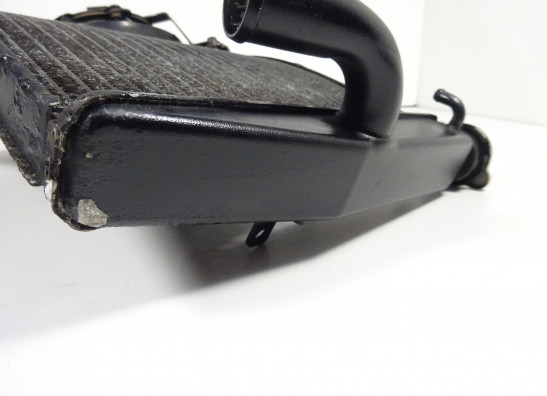 Radiator Honda CBR 600 RR