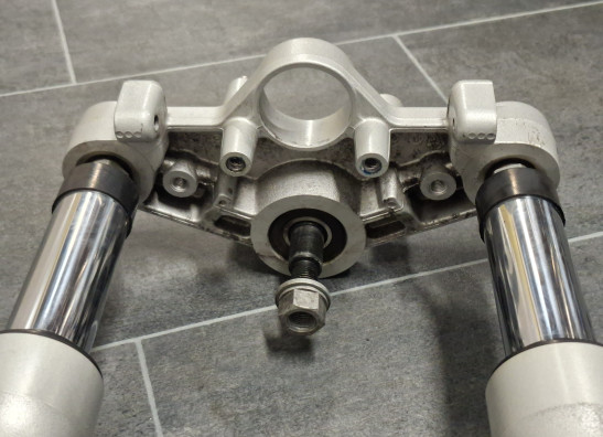 Voorpoten compleet BMW R 1200 R