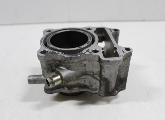 Cilinderblok Honda Fes 150