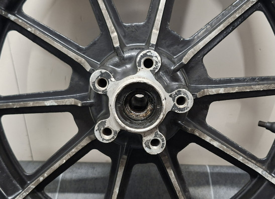 Achtervelg Harley Davidson FLHR Road King