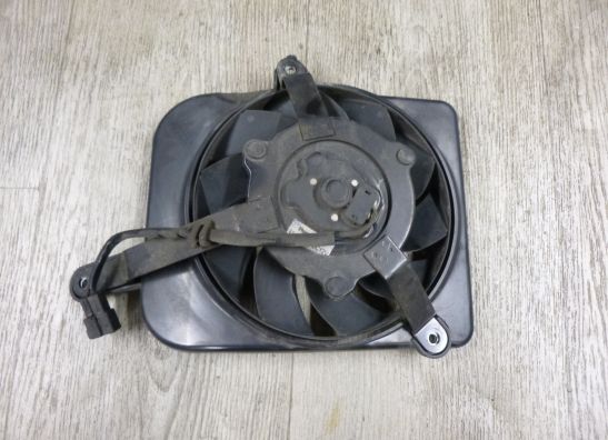 Fan Triumph Tiger Explorer