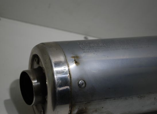 Auspuff Yamaha GTS 1000