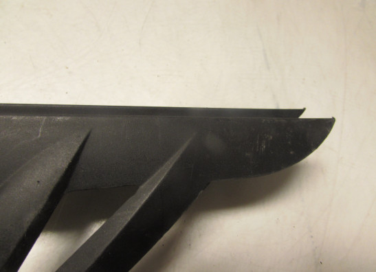 Kettenschutz BMW S 1000 RR