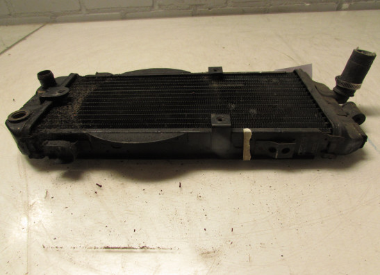 Radiator Honda VT 700 750