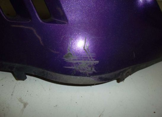 Verkleidung unten Suzuki GSX F 600