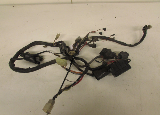 Wire Harness Yamaha XJ 600 Diversion