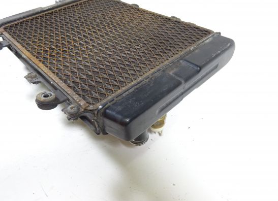 Kuhler Kawasaki ZX 6 R