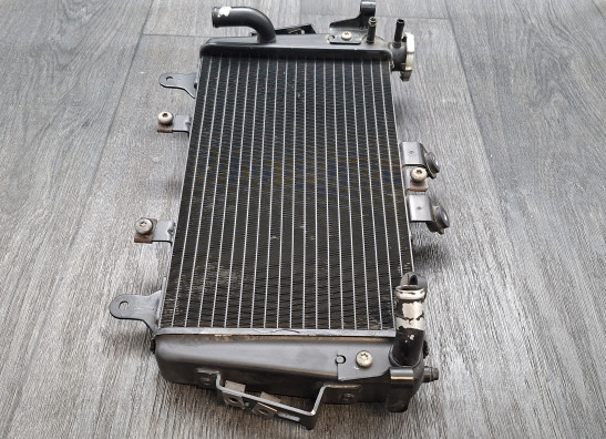 Radiator Triumph Tiger 1050