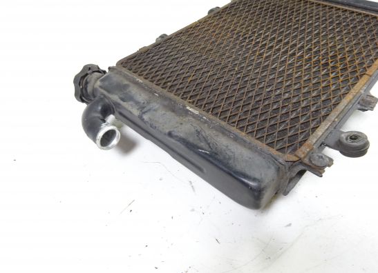 Kuhler Kawasaki ZX 6 R