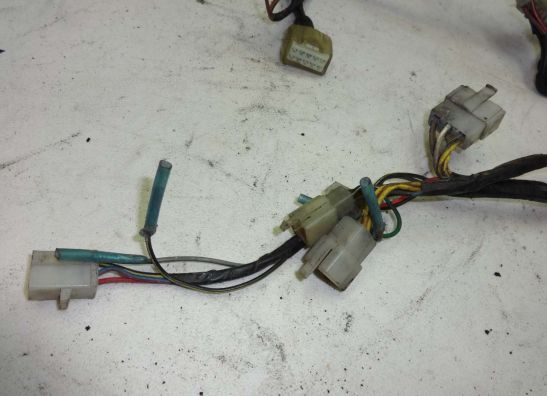 Wire Harness Kawasaki GPZ 500