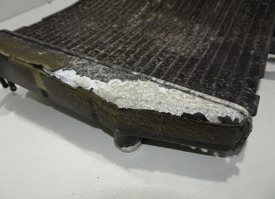 Radiator Yamaha YZF R6