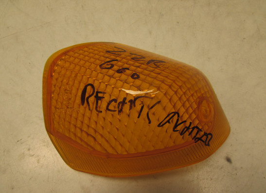 Winker Kawasaki ZZR 600