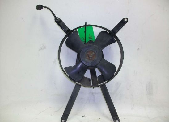 Fan Kawasaki ZXR 750