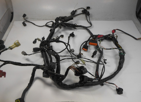 Wire Harness Kawasaki ER 6