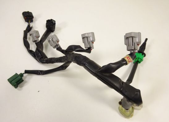 Kabelboom Yamaha FZ6