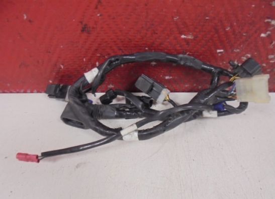 Kabelboom voor Yamaha YZF R6