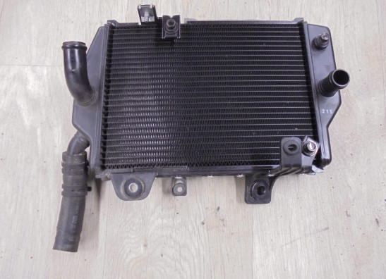 Radiateur Triumph Tiger 900 Rally Pro