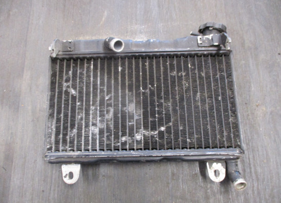 Kuhler Suzuki RG 250