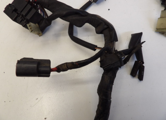 Kabelboom Yamaha FJR 1300