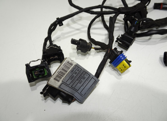 Kabelbaum vorne BMW F 800 R