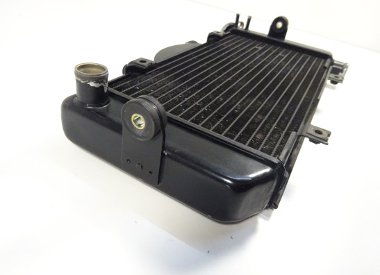 Radiateur Yamaha TDM