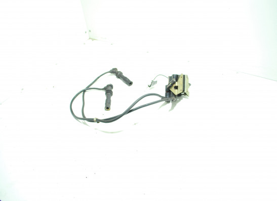 Ignition Coil BMW R 1100 GS