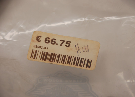 Blinker Harley Davidson Dyna