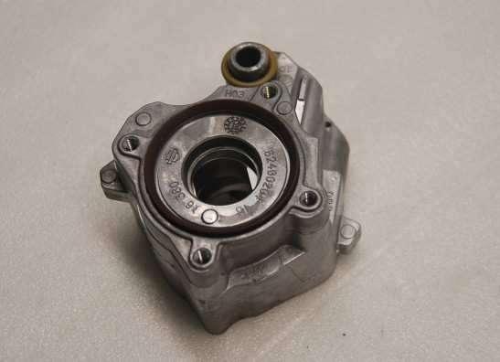 Motorblok diverse Harley Davidson Softtail