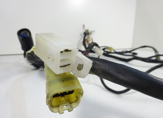 Wire Harness Yamaha FZ6