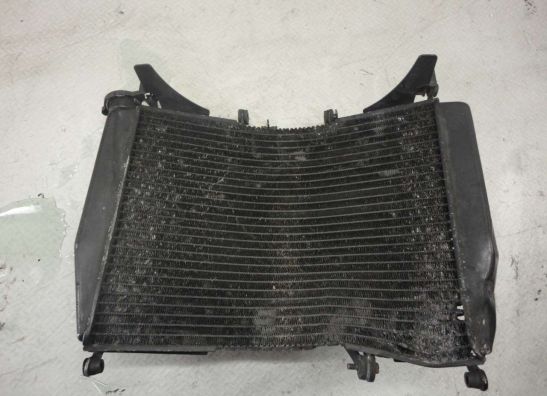 Radiator Kawasaki ZX 9 R