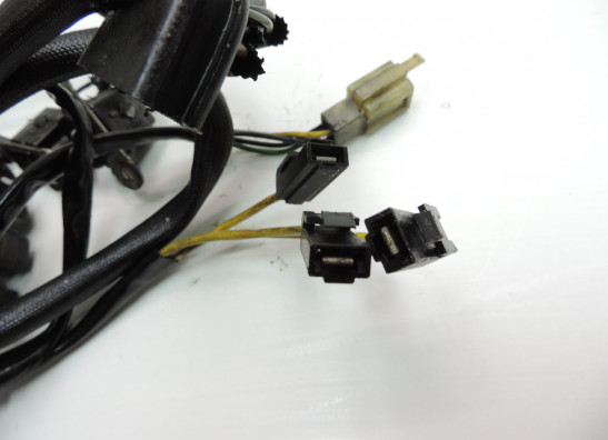 Dynamo Suzuki VS 700 Intruder